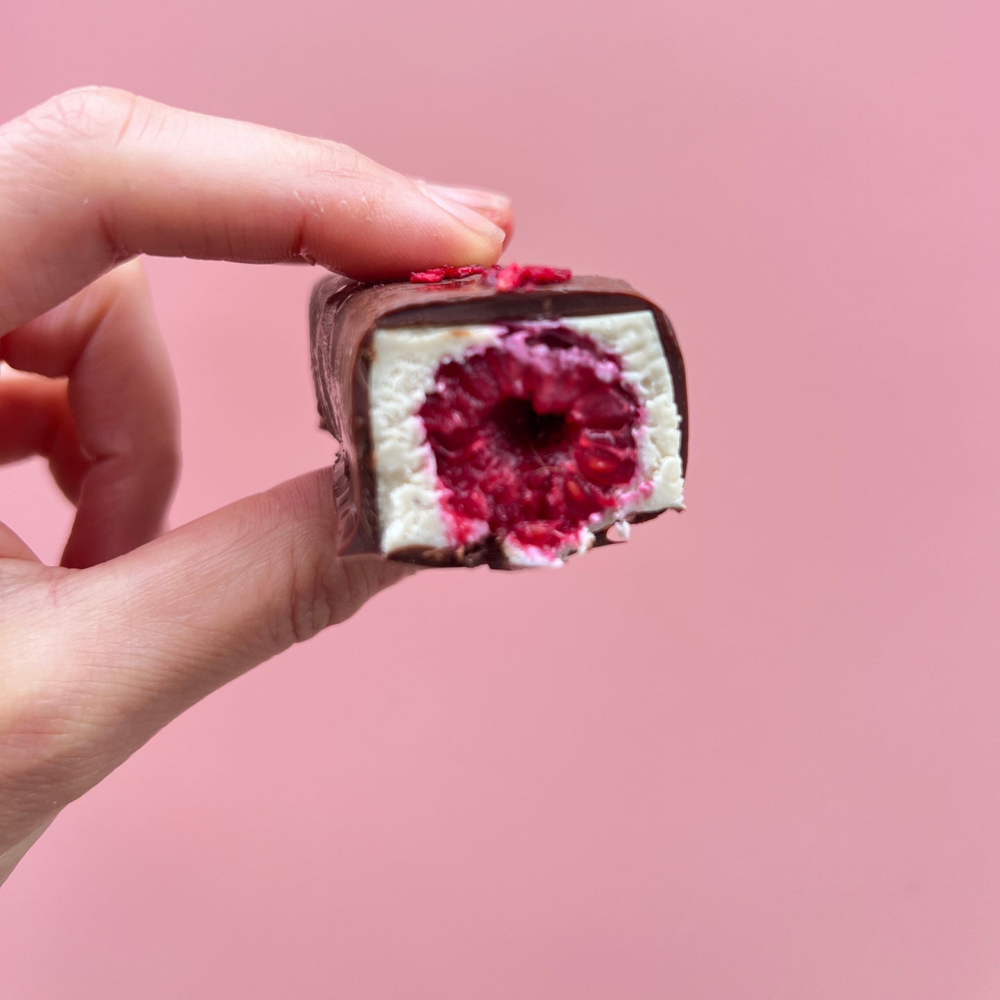 Raw Kind Vanilla Raspberry Frozen Dessert Bars